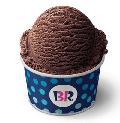 Baskin-Robbins Small Scoop Chocolate Ice Cream Nutrition Facts
