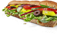 Subway Veggie Delite