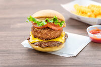 Shake Shack Hamburger