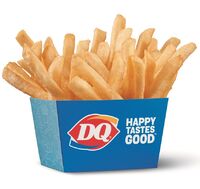 Dairy Queen Kids Fries