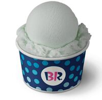 Baskin-Robbins Large Scoop Daiquiri Ice
