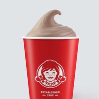 Wendy's Chocolate Frosty