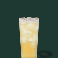 Starbucks Iced Green Tea