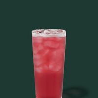 Starbucks Iced Passion Tango Tea