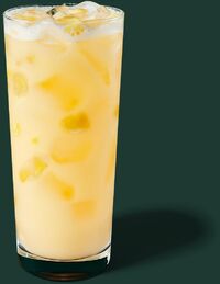 Starbucks Paradise Drink Refresher