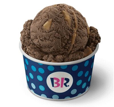 Baskin-Robbins Peanut Butter 'n Chocolate Ice Cream Nutrition Facts