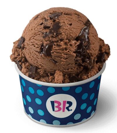 Baskin-Robbins Vegan Chocolate Extreme Ice Cream Nutrition Facts