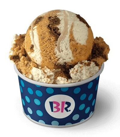 Baskin-Robbins Pumpkin Cheesecake Ice Cream Nutrition Facts