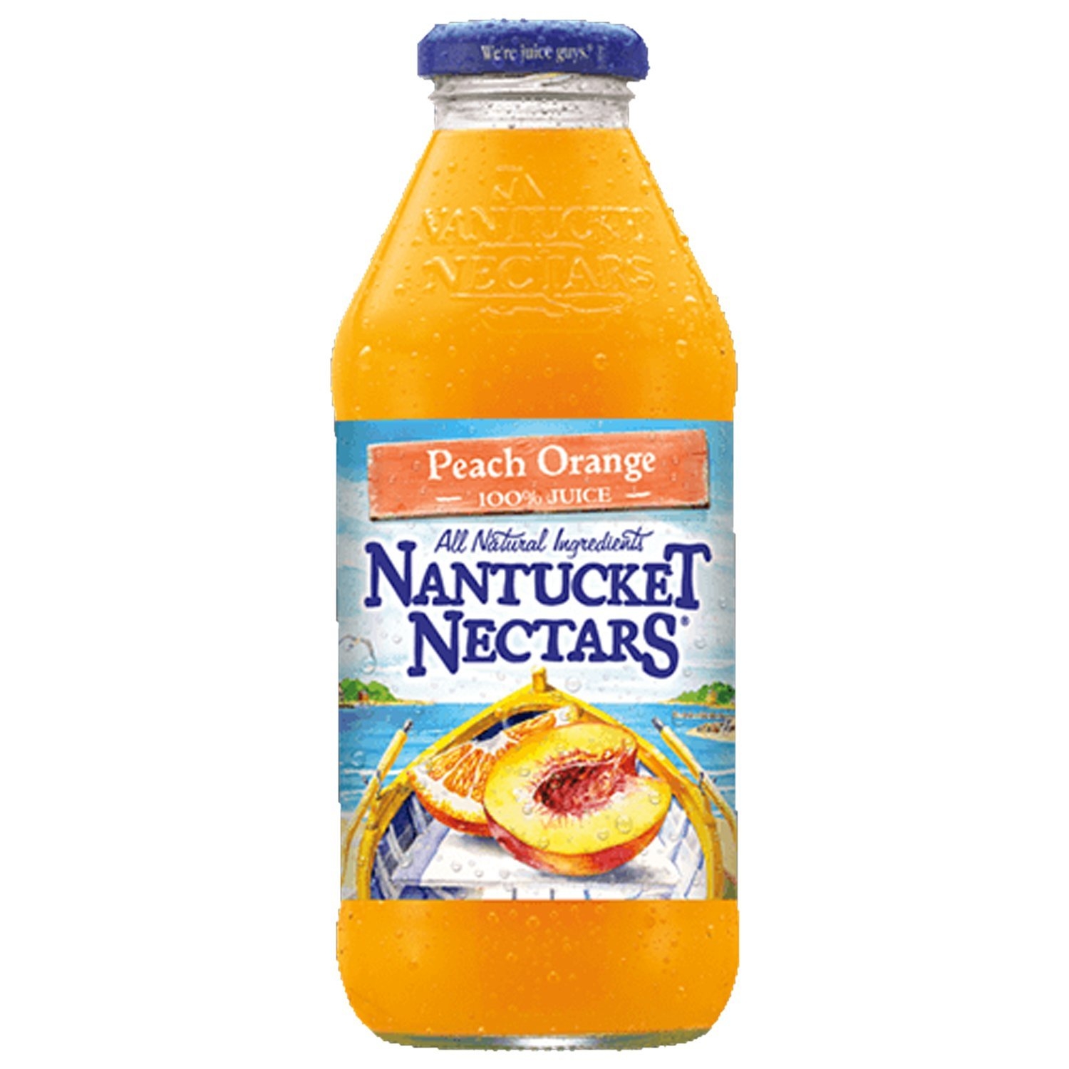 Chipotle Nantucket Nectars Peach Orange Juice Nutrition Facts